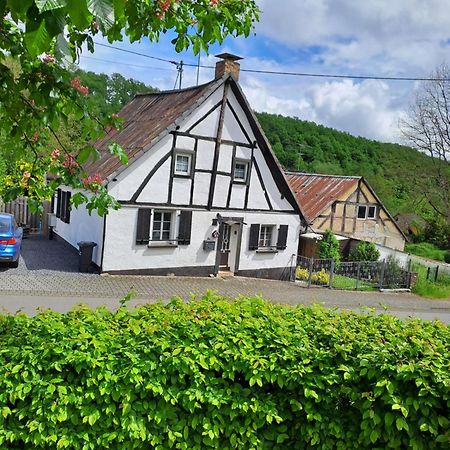 Landhaus Eifel Demerath Buitenkant foto