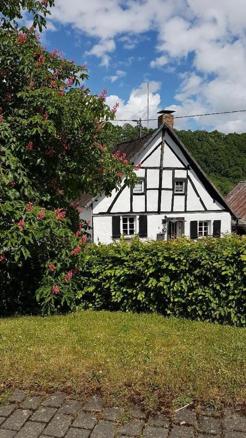 Landhaus Eifel Demerath Buitenkant foto