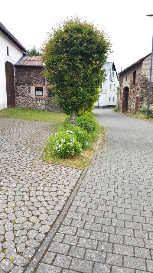 Landhaus Eifel Demerath Buitenkant foto