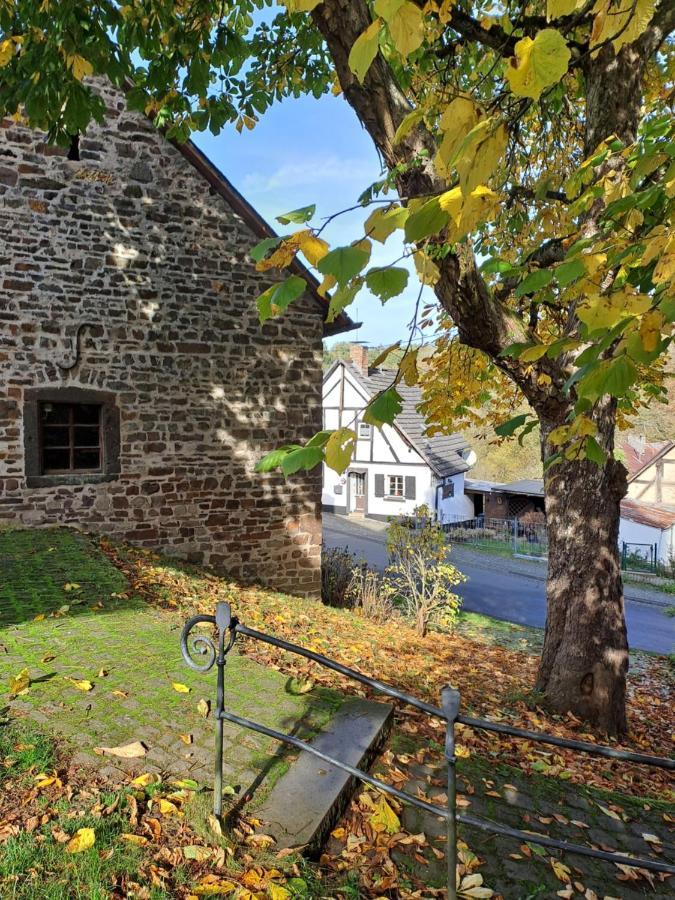 Landhaus Eifel Demerath Buitenkant foto