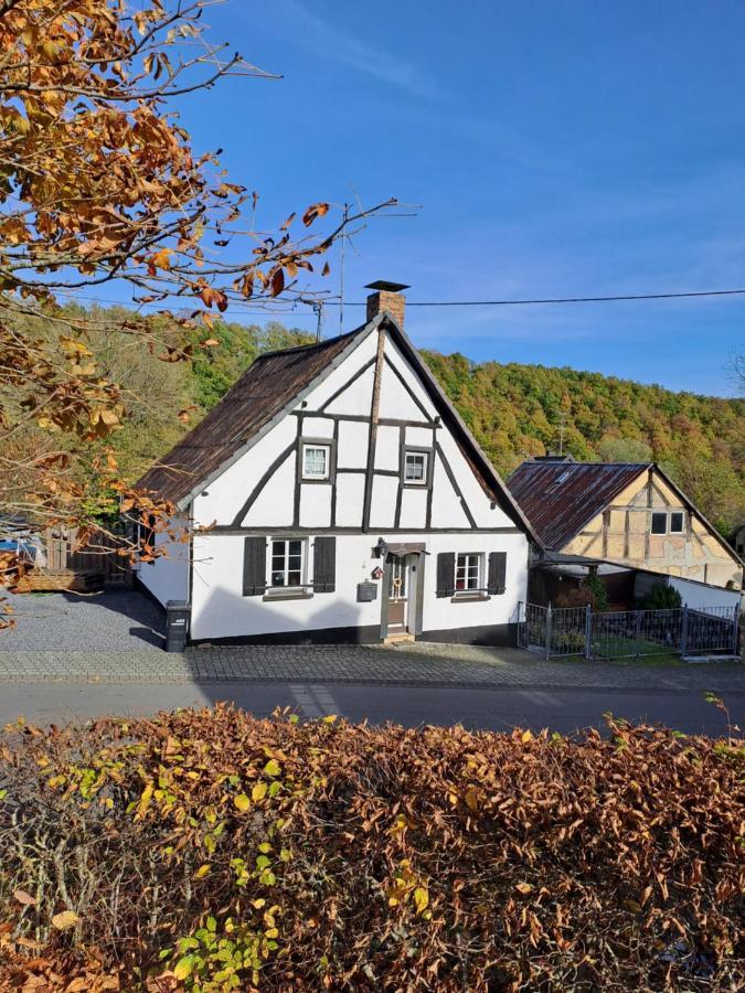 Landhaus Eifel Demerath Buitenkant foto