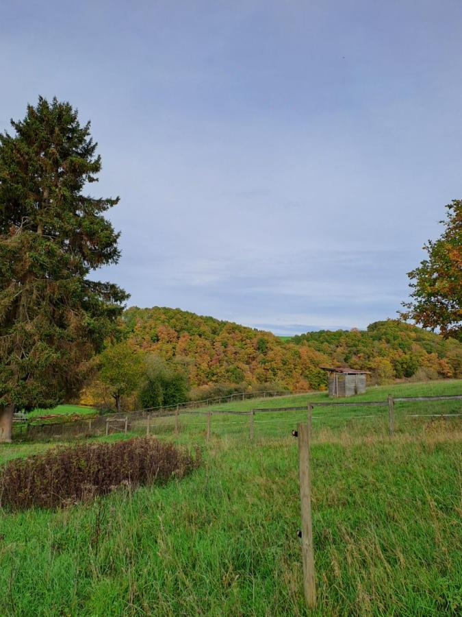 Landhaus Eifel Demerath Buitenkant foto