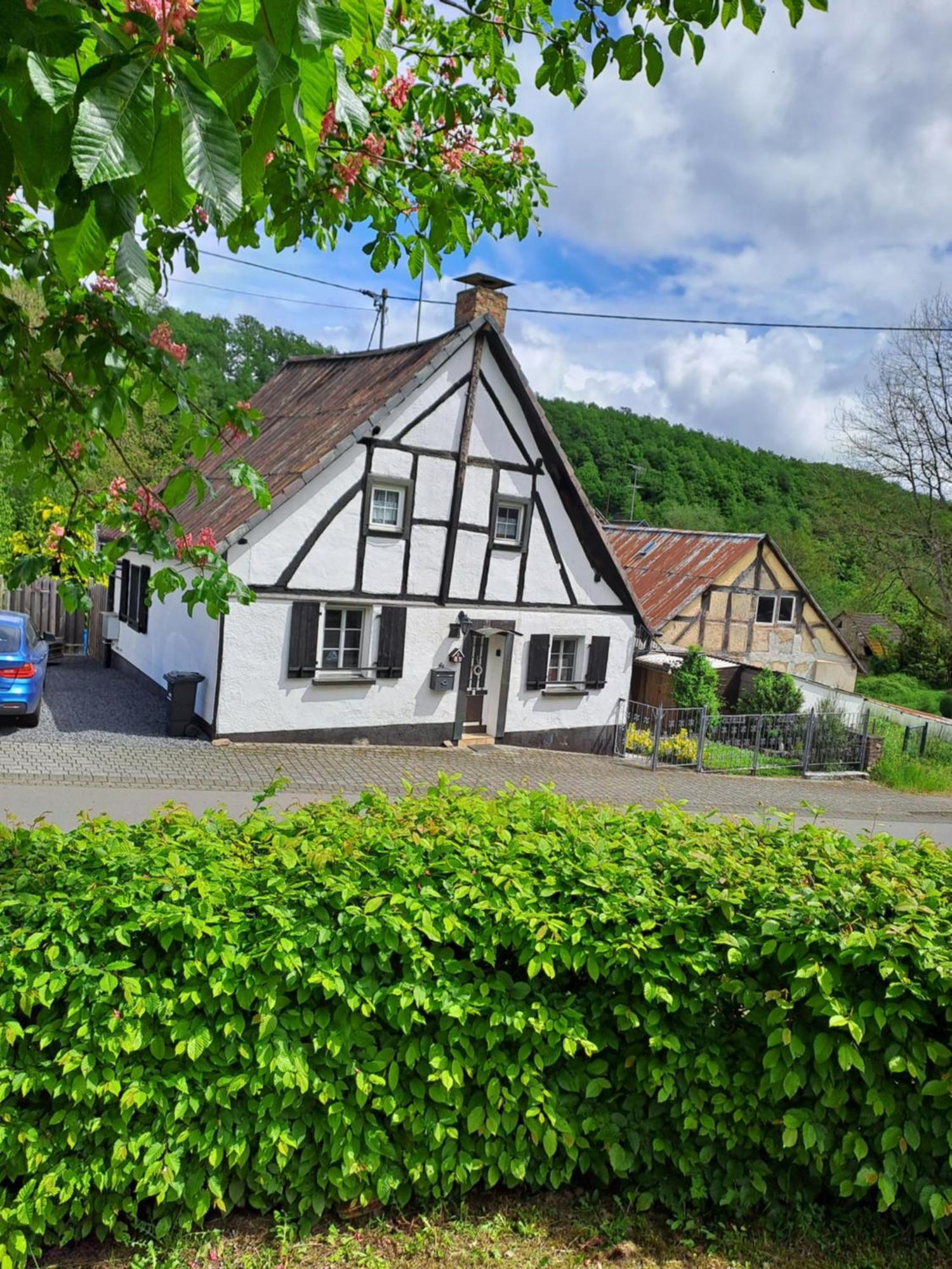 Landhaus Eifel Demerath Buitenkant foto